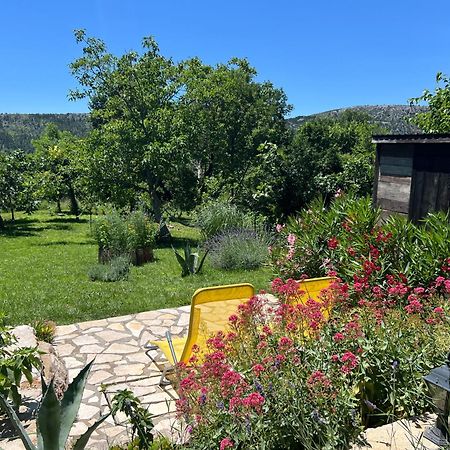 Villa Cocoon - Vacation Home With Heated Pool & Garden Bribir  Bagian luar foto